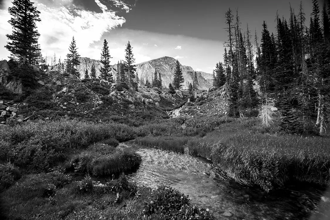 Colorado mountain and stream scene