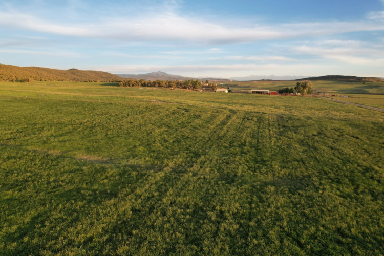 Windy Hills Ranch